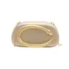 Bolso de Mano de Nicho Transfronterizo para Fiesta de Noche para Mujer, Bolso de Hombro con Cadena de Moda Europea y Americana, Diseño Elegante, Bolso Cruzado de Moda
