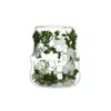 Taza de Flores Secas con Forma de Nube Venta al por Mayor Transfronteriza, Taza de Beber Creativa en Espiral de Alta Estética, Taza de Doble Pared de Vidrio de Borosilicato con Flores Reales