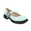 Zapatos Mary Jane para mujer 2024 Nuevos retro de corte bajo con tacón grueso lazo pequeños zapatos de cuero zapatos de tacón bajo francés de una sola capa zapatos de comercio exterior