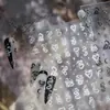 Marca Tomoni Colaboración Tata Pegatinas Finas y Resistentes para Uñas Pegatinas de Uñas Estrella Luna Serpiente Nudo de Serpiente Pegatinas Auxiliares para Uñas