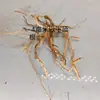 Paisajismo de Acuario Maderas a la Deriva Plantas Acuáticas Raíces de Rododendro Ramas Plantas Acuáticas Maderas a la Deriva Madera de Coral Ramas para Tanque Decoración de Micro Paisaje Metabo