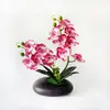 Película Impresa en 3D Nueva 12 Flores Phalaenopsis Bonsái Flor Fábrica Suministro Directo Moda Decoración del Hogar