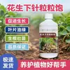 Adubação de Galhos de Amendoim, Fertilizante Multi-Fruto Multi-Vagem para Amendoim, Sementes de Alto Rendimento 0kg de Amendoim, Vagens Cheias, Amendoins Abundantes, Fertilizante Foliar para Amendoim