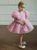 Vestido Formal Infantil Comércio Exterior Flores 3D Mangas Bufantes Múltiplas Camadas de Tule Saia Rodada para Meninas Sessão de Fotos Banquete Vestido de Princesa