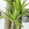 Árvore Africana Artificial Overlord em Vaso Plantas Tropicais Desérticas Verdes Plantas Falsas Ornamentos Decorativos Macios para Vitrine