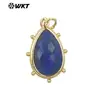 WT-P1974 Exquisite Gota d'Água Colorida Colorida Multicor Opcional Pedra Lápis Lazúli Pó de Cristal Brincos Pingente Acessórios