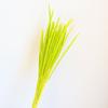 Fábrica en stock al por mayor explosiones hierba Kirin flor de hierba amarilla pequeña ramo decoración sala de estar hogar arreglo floral estilo nórdico