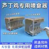 Alimentador automático anti-arañazos para pollos, comedero grande, caja de alimento, plataforma de malla para pollos Luding, caja de alimento, dispensador de agua