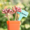 Etiquetas de jardinagem, etiquetas de nome de plantas em formato T de plástico PP espessado para suculentas e flores