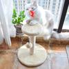 Marco de escalada para gatos pequeños, árbol para gatos, columna de sisal, garra para moler, nido para gatos, plataforma de salto para gatos, juguete para gatos, tablero rascador para gatos, estante para gatos