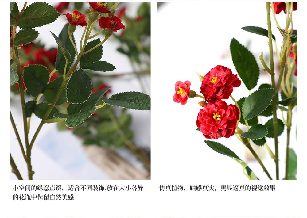 工厂描述_10.jpg