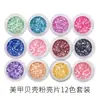 Joias para Nail Art Transfronteiriças Novos Fragmentos de Unha de Pó de Concha Conjunto de Decoração para Nail Art Sereia Fino Alta Qualidade