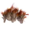 80 Tipos de Penas Naturais de Faisão, Penas Reais, Decorações Nativas Americanas, Acessórios DIY, Acessórios de Cabelo, Peças para Brinquedo de Vara para Gato