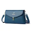 Bolso de Mano de Moda Transfronterizo, Bolso de Hombro Elegante para Mamás, Bolso de Mano de Alta Gama y Práctico para Viajes Diarios para Señoras de Mediana Edad