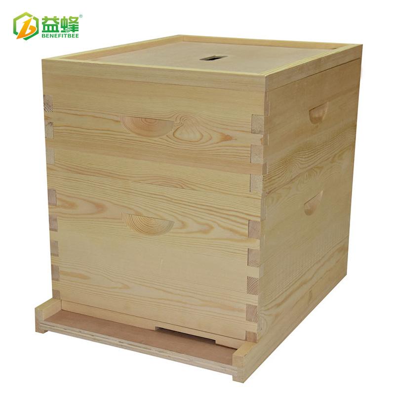 XX04-1B-800X800-10