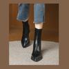 Botas Curtas de Bico Fino para Mulheres, Novo Estilo Popular Deste Ano, Saltos Grossos, Saltos Altos, Botas Francesas Slim que Aumentam a Altura de Pessoas Baixas, Botas Elásticas