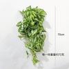 Yang ins Estilo Nórdico Planta de Vid Vidriada Hoja de Perilla Paisaje Sala de Estar Decoración de Planta Verde Decoración de Tienda de Ventanas
