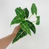 Planta de hoja verde de cinco puntas pequeña material de pared a juego simulación hoja perenne hoja de ceja verde decoración de paisaje verde eneldo dulce hoja de batata manojo de tallos pequeños