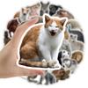 50 Adesivos de Grafite de Desenho Animado de Animais Realistas para Decorar Mala de Carro, Capas de Celular, Adesivos Infantis, Estilo Retrô