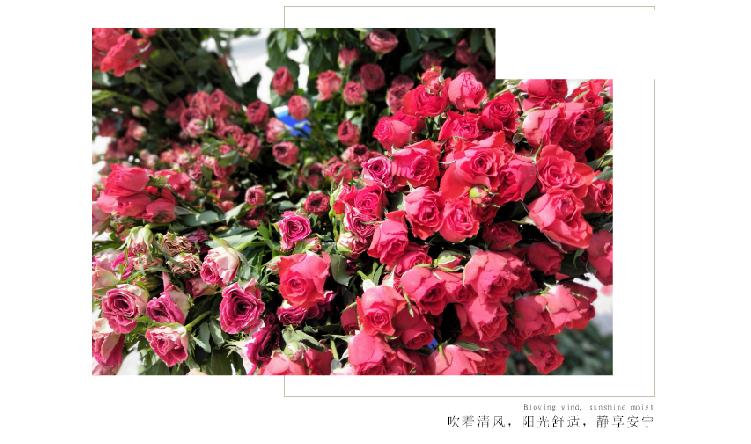 详情页13.jpg