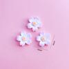 Accesorios Florales DIY Adornos de Flor de Resina Funda para Teléfono Celular Cubierta Protectora para Cargador de Refrigerador Parche Pasador Materiales para Accesorios de Cabello