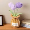Amazon Transfronterizo Producto Terminado Ganchillo Orquídea Phalaenopsis, Tulipán Jarrón de Lana Bonsái de Escritorio