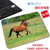 Cavalo de tamanho pequeno HD Photo portátil bloqueio mouse pad quadrado paisagem natural criativo escritório antiderrapante pad de computador