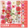 Paquete de Materiales DIY de Flores Secas Flores Prensadas Hechas a Mano Flores Conservadas Marcadores de Libros de Flores Prensadas Hojas de Árbol Real Plantas Pegatinas de Resina Maquillaje Facial