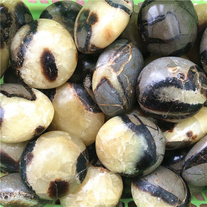 dragon septarian palm stone (5