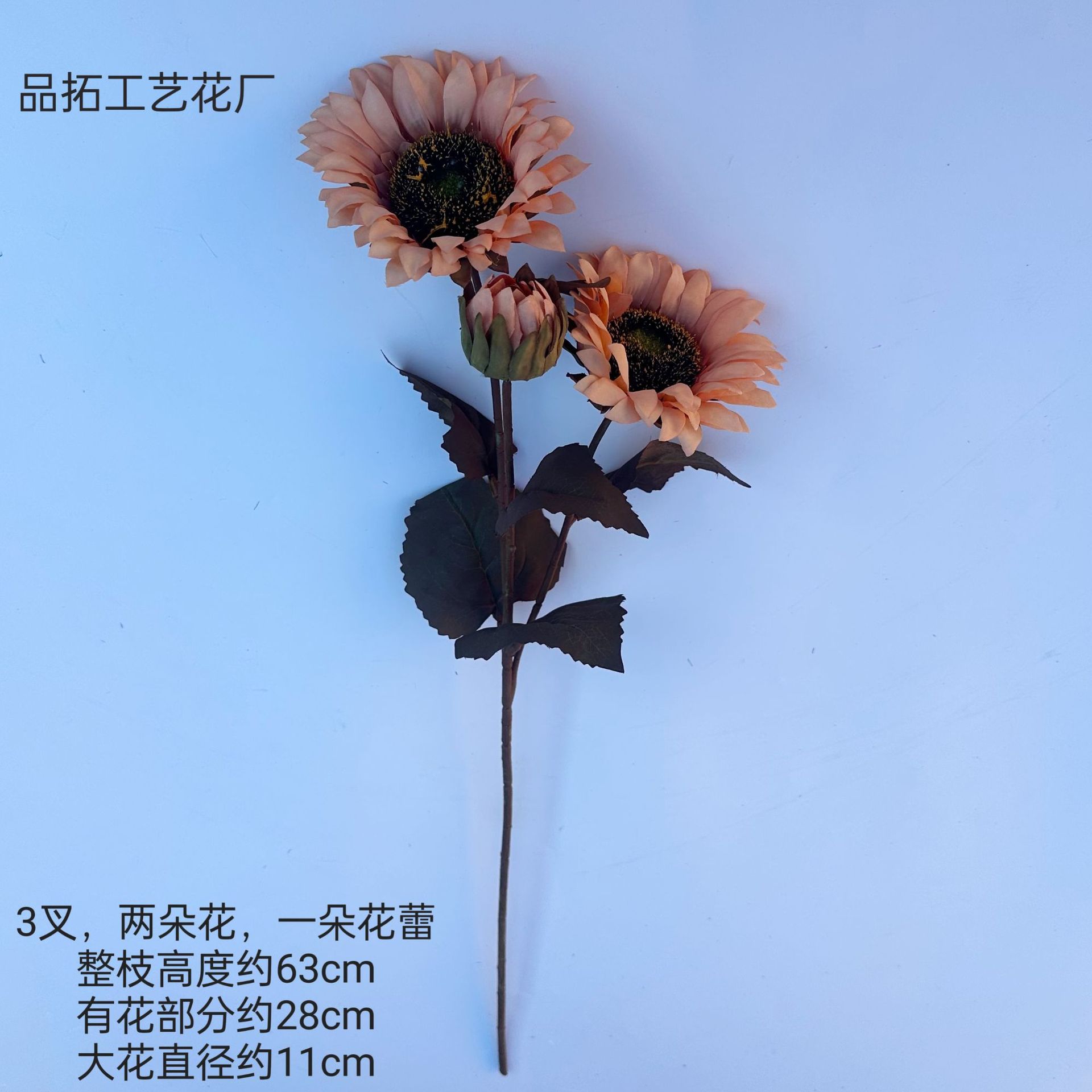 09420fd68ab92c82ed8808b9100858
