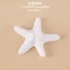 Acessórios de Resina Estrela do Mar Concha Fofa Oceano Materiais DIY para Crocs Decorações de Capa de Celular