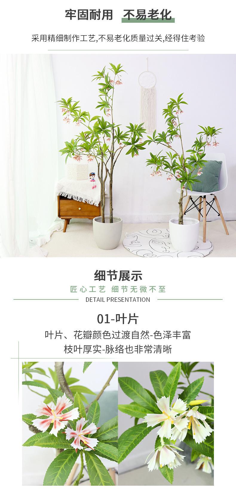水石榕_07.jpg