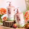Whsa Champú de Higo Aminoácido Extracto de Planta Fragancia Duradera Limpieza Suave Refrescante Champú para Cabello Suave