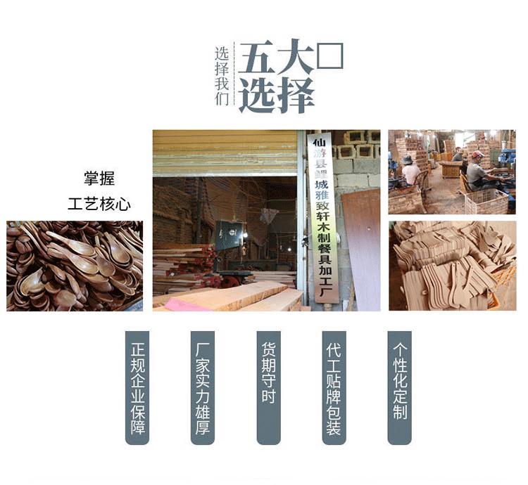 龟甲勺_01