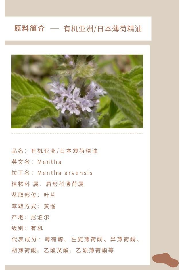 亚洲薄荷精油.jpg