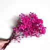 Buquê de Gipsofila Seca Preservada Flores Secas Brancas Flores Reais Secas ao Ar Flores Grandes Decoração de Sala de Estar Arranjo de Flores Flores para Fotografia de Casamento