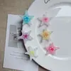Accesorios Transparente de Mini Estrella de Mar para Manualidades DIY, Pegamento Crema para Fundas de Teléfono, Zuecos, Pinzas para el Cabello, Materiales para Fundas de Auriculares