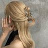 Horquilla de metal de verano para el cabello y2k clip para el cabello cantidad viento frío clip de tiburón accesorios para el cabello pinza para el cabello de alto sentido
