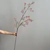 Retorno à Montanha Simulada, Fruta de Madeira de Gengibre, Madressilva do Sul, Frutas Vermelhas de Outono, Estilo Wabi-Sabi, Novo Estilo Chinês, Estilo Retrô, Interior Suave para Sala de Estar