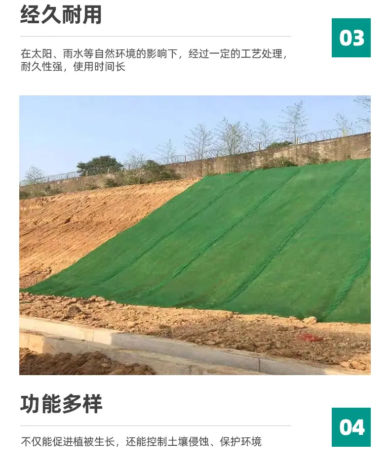 三维植被网_07.jpg