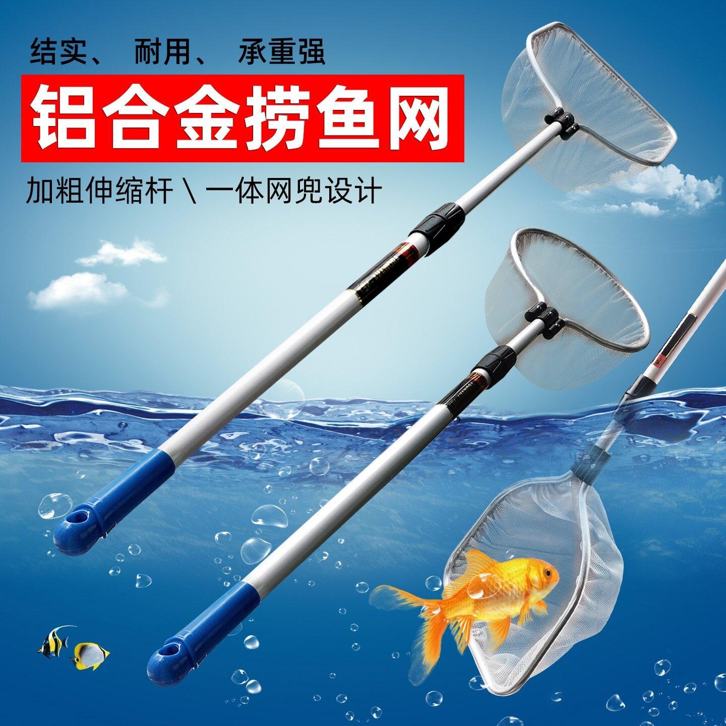 大管灰网_proc