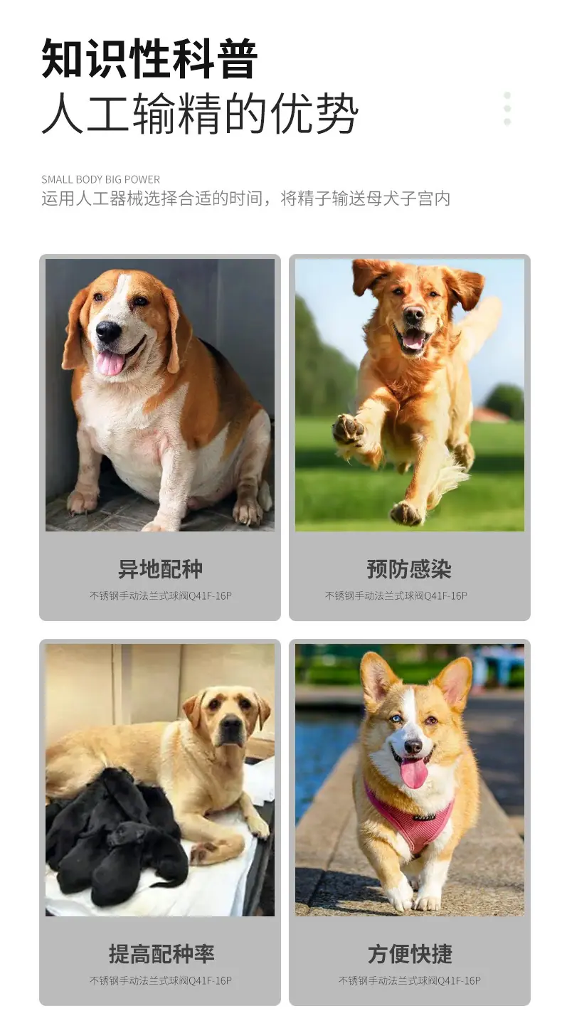 详情1_03.jpg