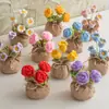 Bolsa de la Suerte Tejida a Crochet Hecha a Mano Transfronteriza Plantas Pequeñas en Maceta Muebles para el Hogar Decoración de Rosa Tejida de Lana Plantas en Maceta Flor Simulada