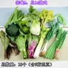 Simulación Hortaliza Verde Corazón Hoja Fruta Modelo de Comida Decoración de Cocina Adornos Cadena para Colgar Boceto Fotográfico Accesorios de Juego