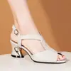 Sandalias de Mujer 2026 Verano Nuevas de Tacón Alto de Moda Suela Suave Tacón Grueso Punta Abierta Estilo Hada Correa Única Zapatos de Mujer