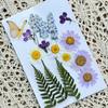 Lámpara de mesa repujada florería hecha a mano salón actividad comunitaria Niños DIY lámpara de mesa de flores secas