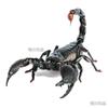 Pegatina para coche con diseño de araña, geco, escorpión y animal, para rascar la parte trasera del coche, estéreo, P74