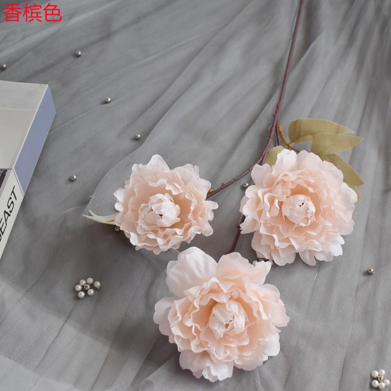 仙桃牡丹香槟色