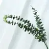 Plantas Verdes Simuladas Hangbin Hojas de Eucalipto Decoración para Sala de Estar en Casa Colgantes Escarcha Pegamento Suave Hojas de Dinero Accesorios y Decoraciones para Fotografía