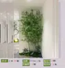 Nueva Decoración de Paisajismo de Bambú Estilo Chino Muebles Blandos para Interiores Pantalla Divisoria de Plantas Verdes Bambú Falso Encriptado Zen